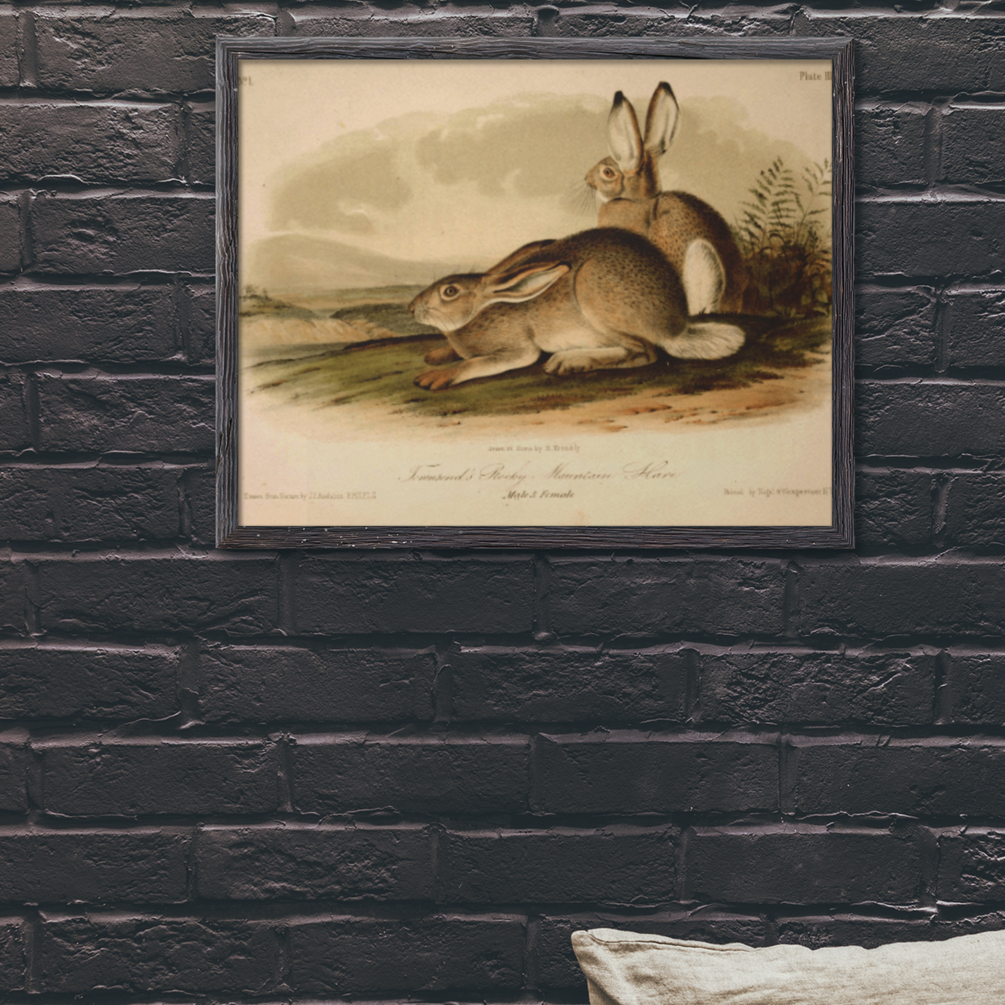 Vintage Rocky Mountain Hare Wood Framed Museum Grade Art, Eco-Friendly, Sustainable